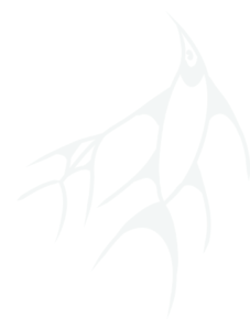 Sea animals ornament vector