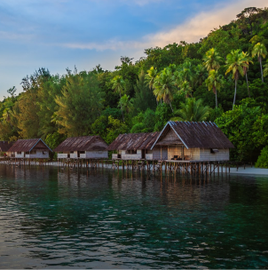 Raja Ampat Dive Resort 