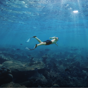 A snorkeler snorkeling in Raja Ampat