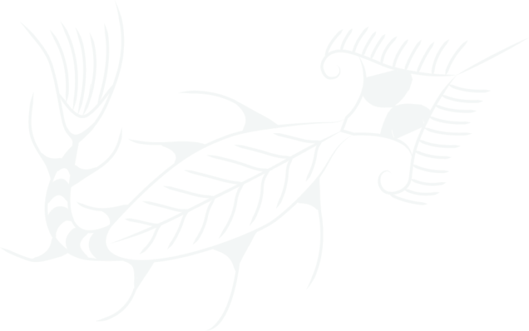 Sea animals ornament vector