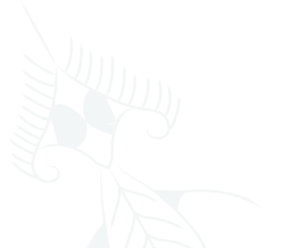 Sea animals ornament vector