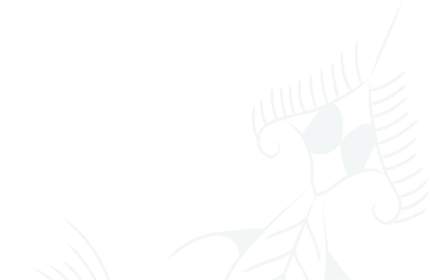 Sea animals ornament vector