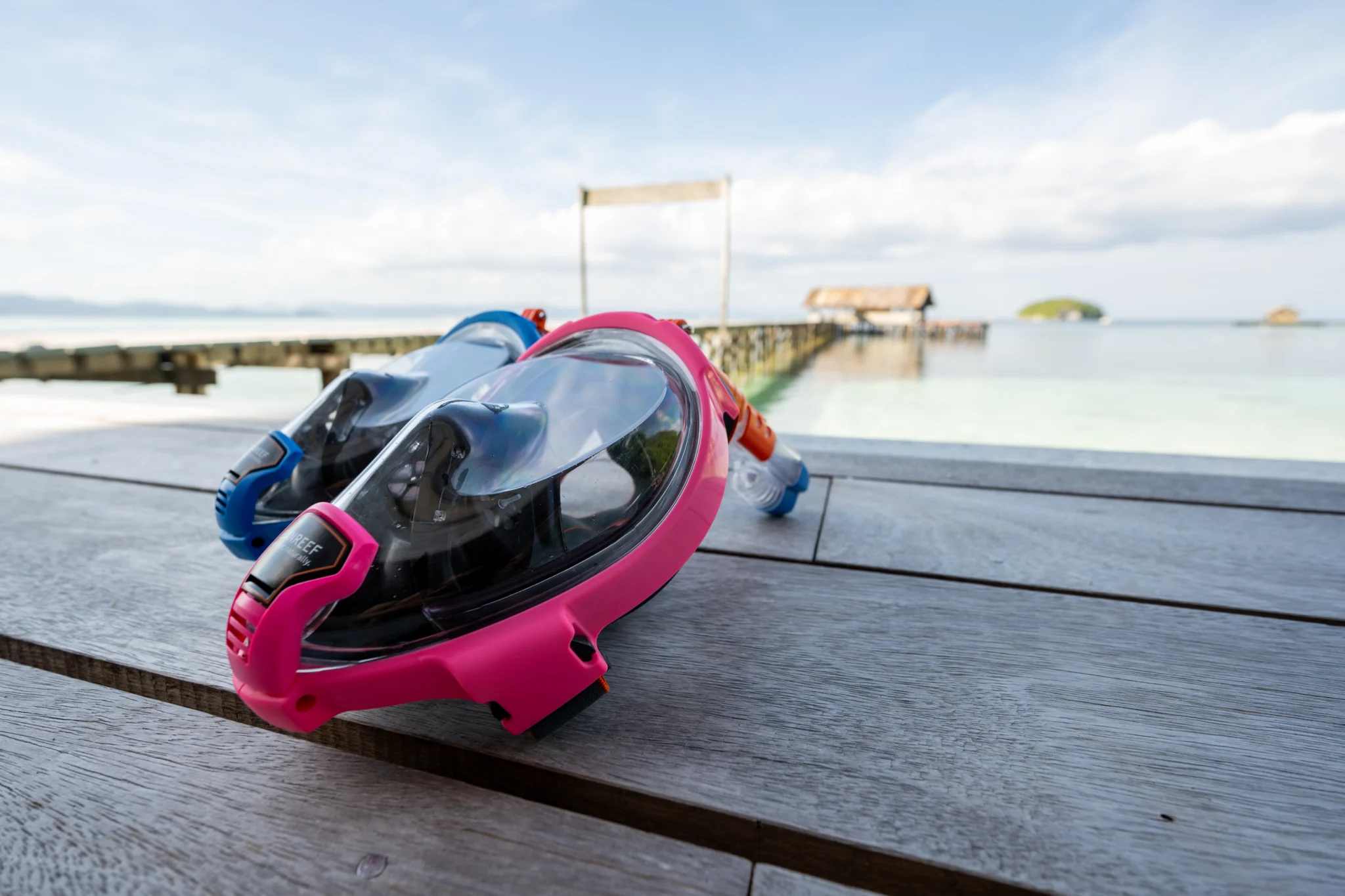 OceanReef Aria Mask