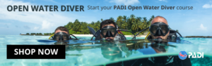 PADI Open Water Diver Course