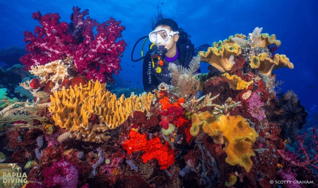 diver with beautiful coral