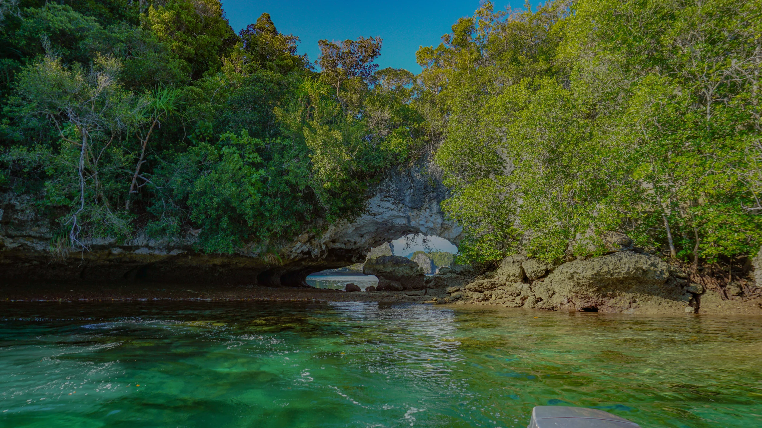 explore raja ampat with papua diving excursions