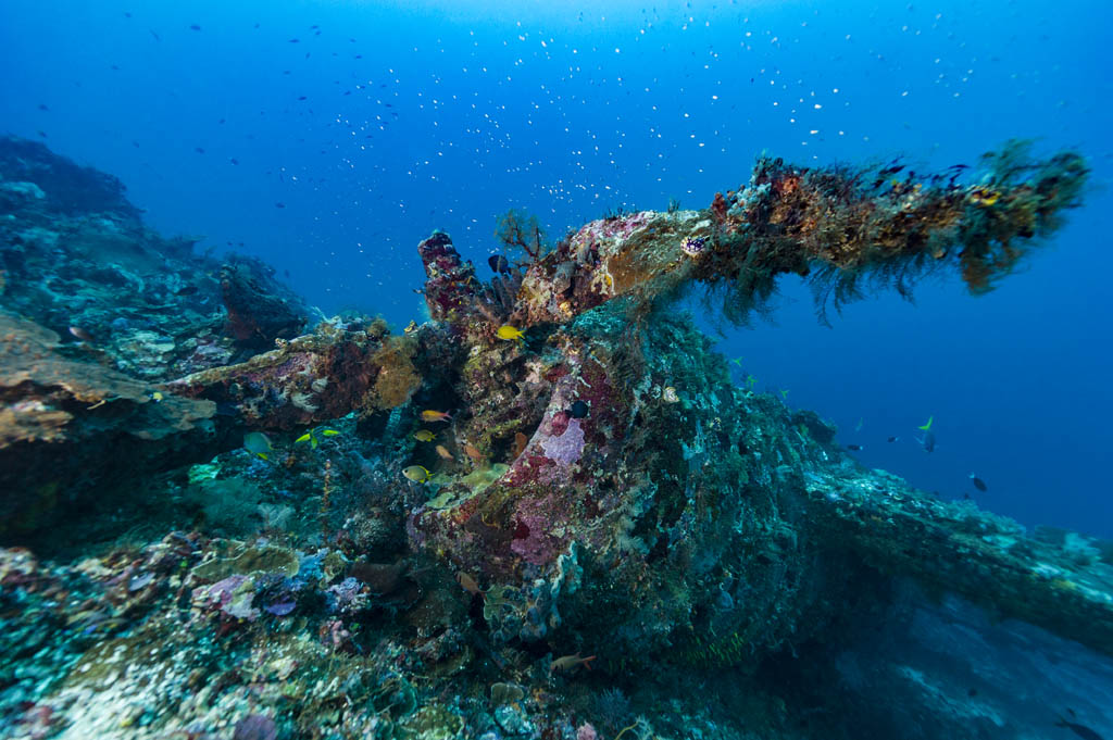 plane wreck at Raja Ampat