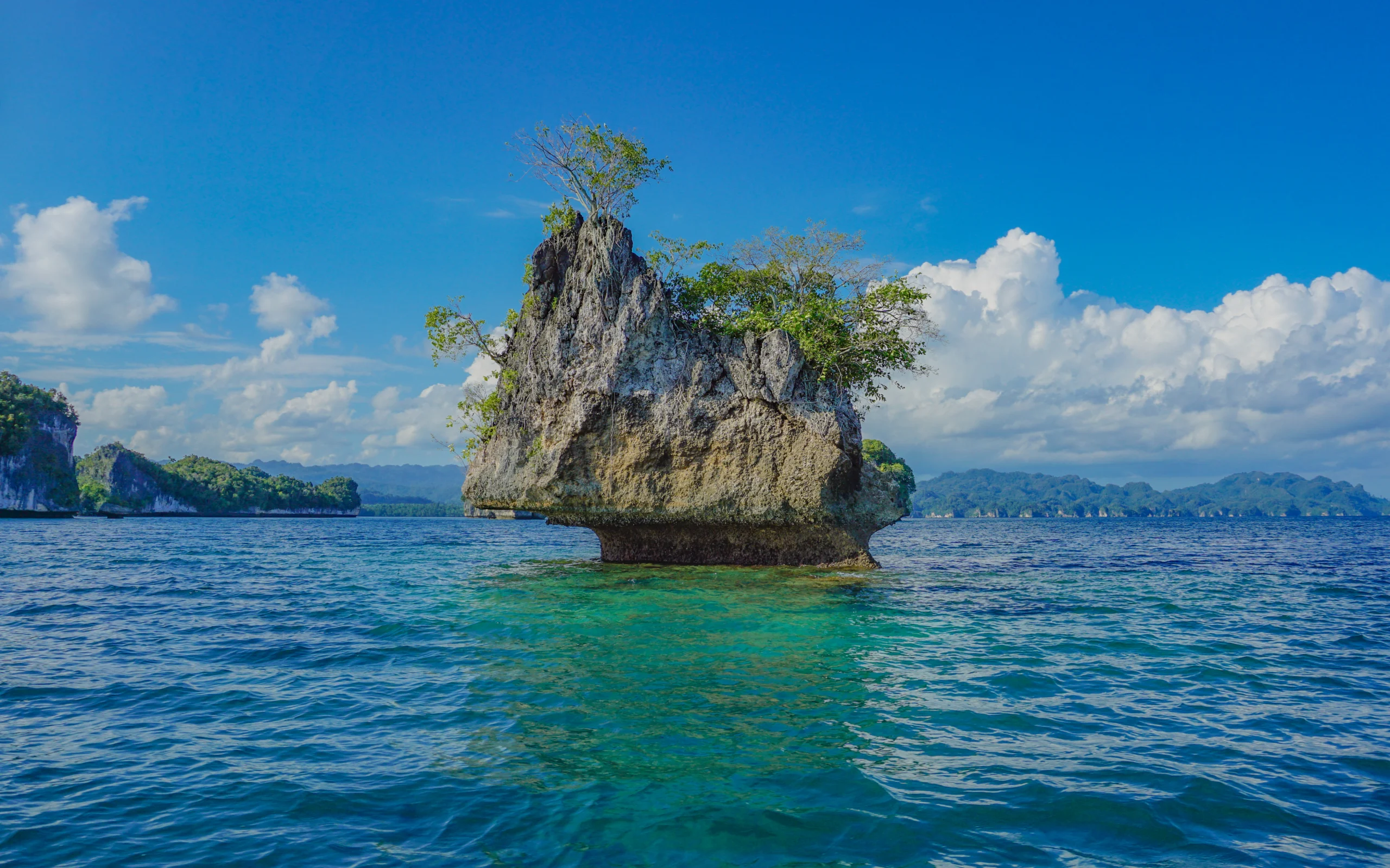 One of the Mushroom island in Raja Ampat - Papua