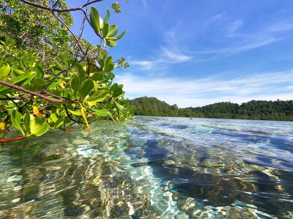 clear water at Raja Ampat