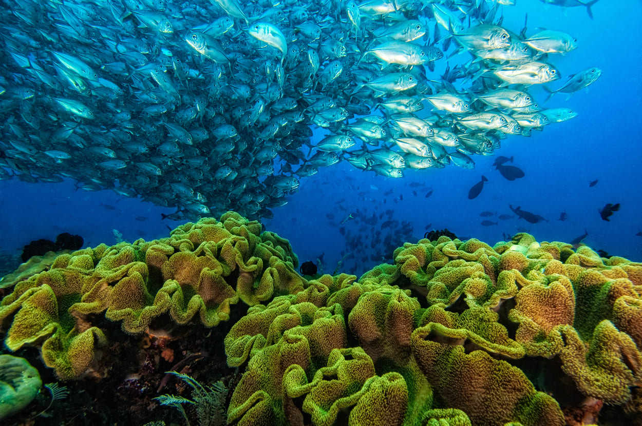 Award winning Conservation