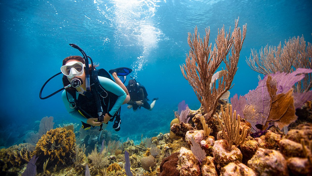 diver with clear view underwater and beauty coral