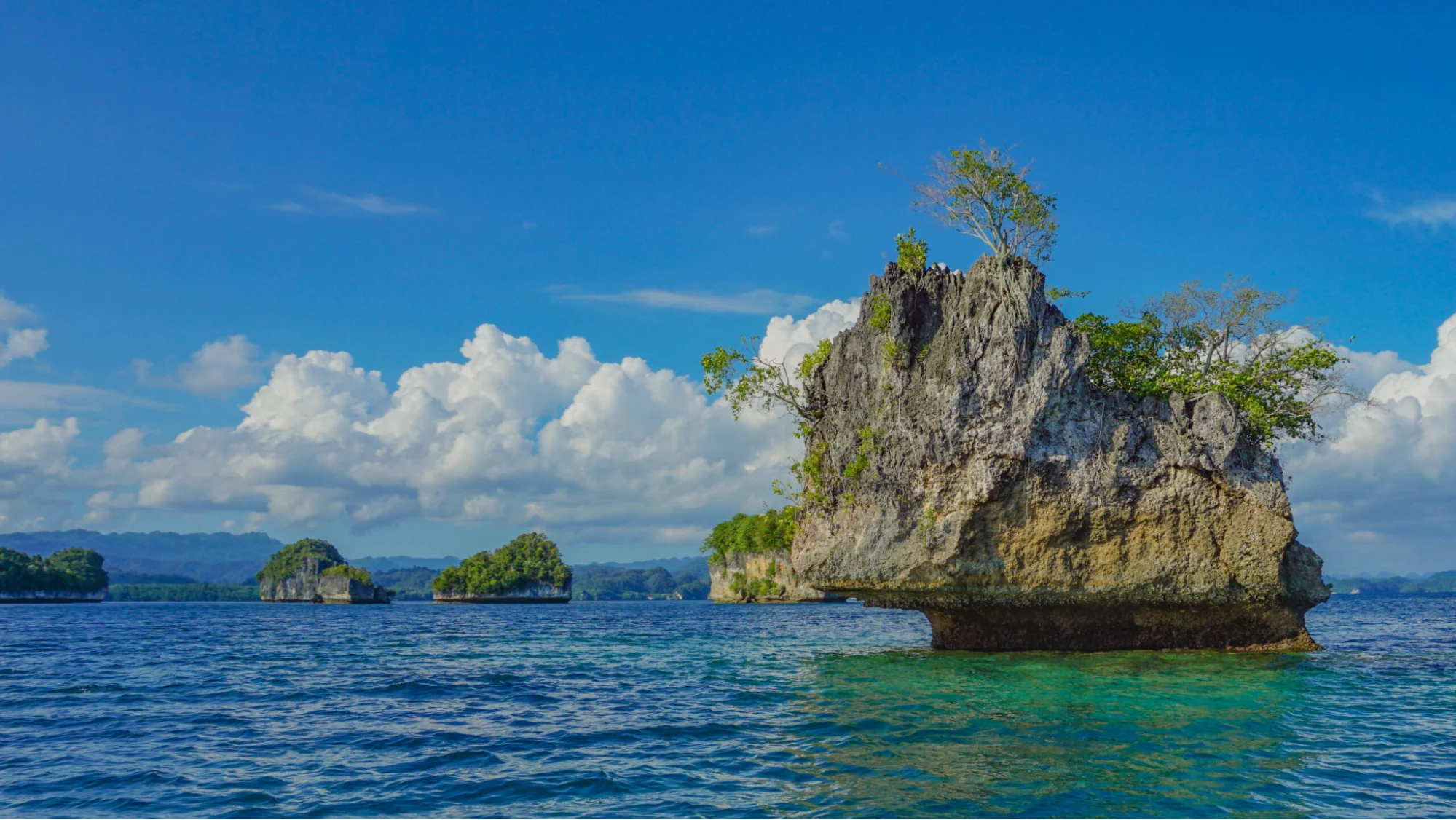 The Mushroom Islands