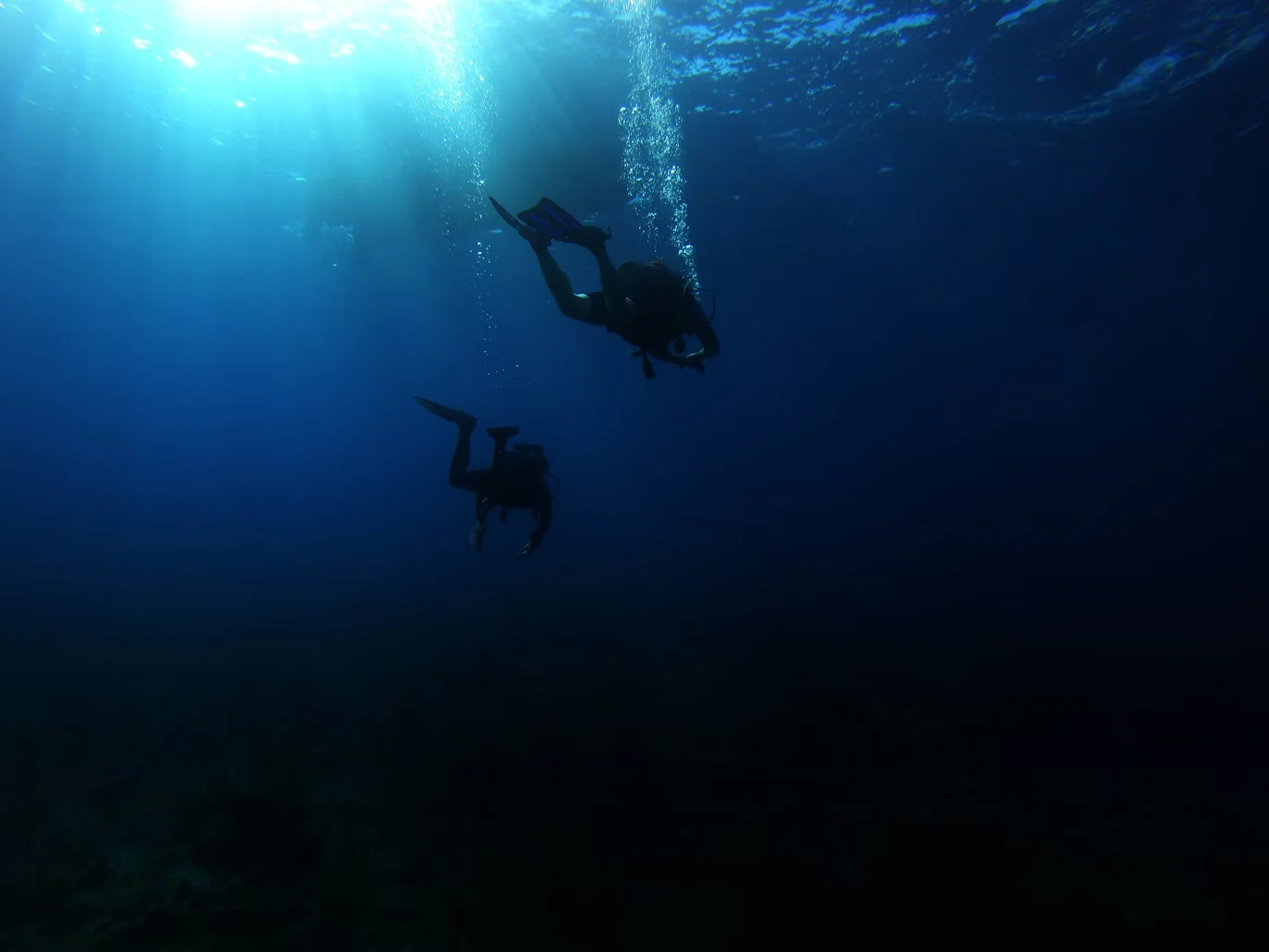 Raja Ampat PADI 5-Star Dive Center
