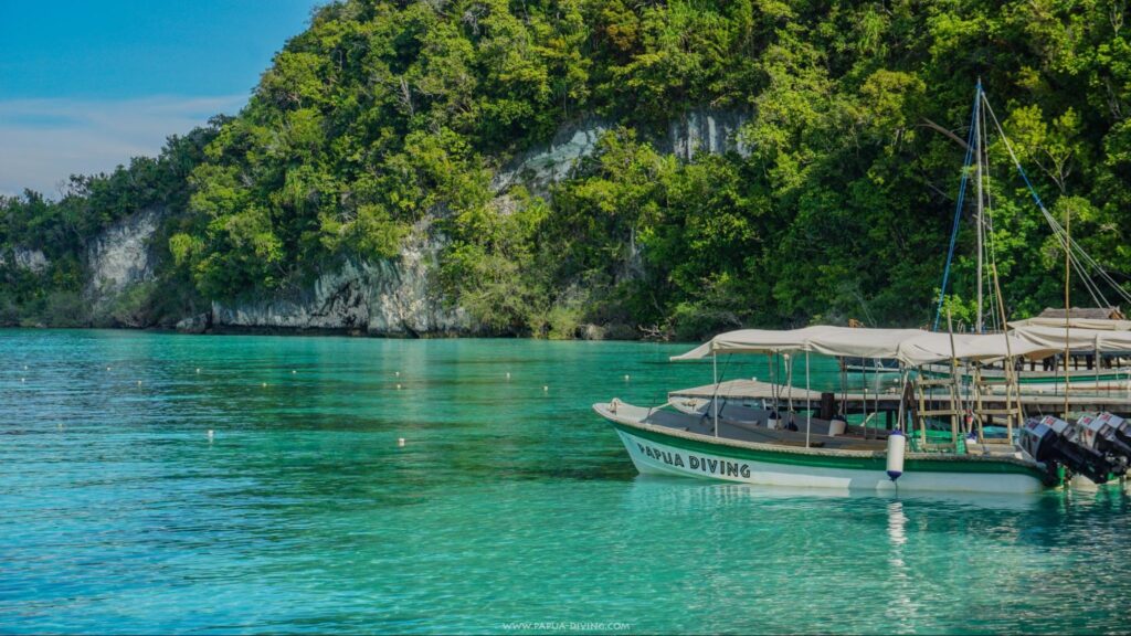 papua diving resorts boat