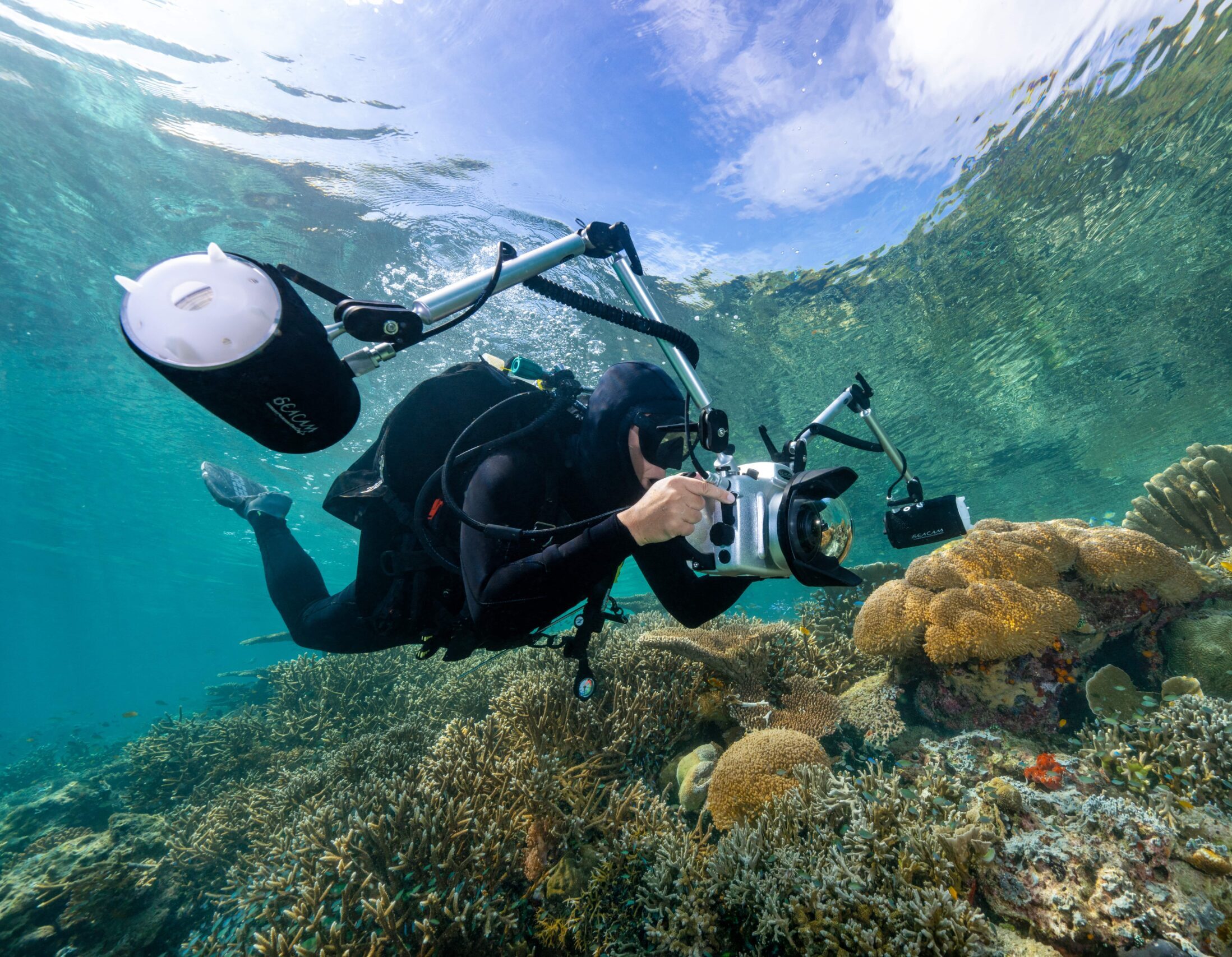 Image by Anita Verde & Peter Marshall Summits to Seas - Seacam - Anita Verde 2