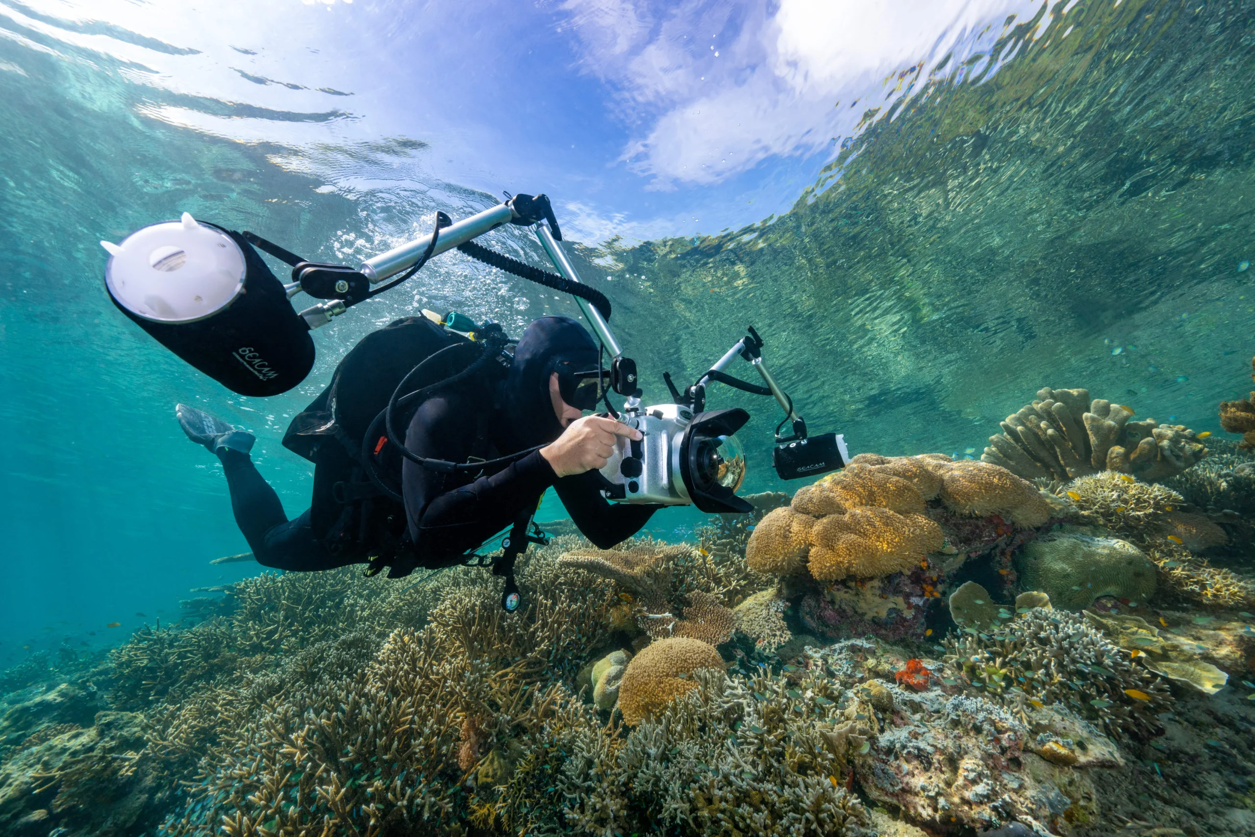 Image by Anita Verde & Peter Marshall Summits to Seas - Seacam - Anita Verde 2