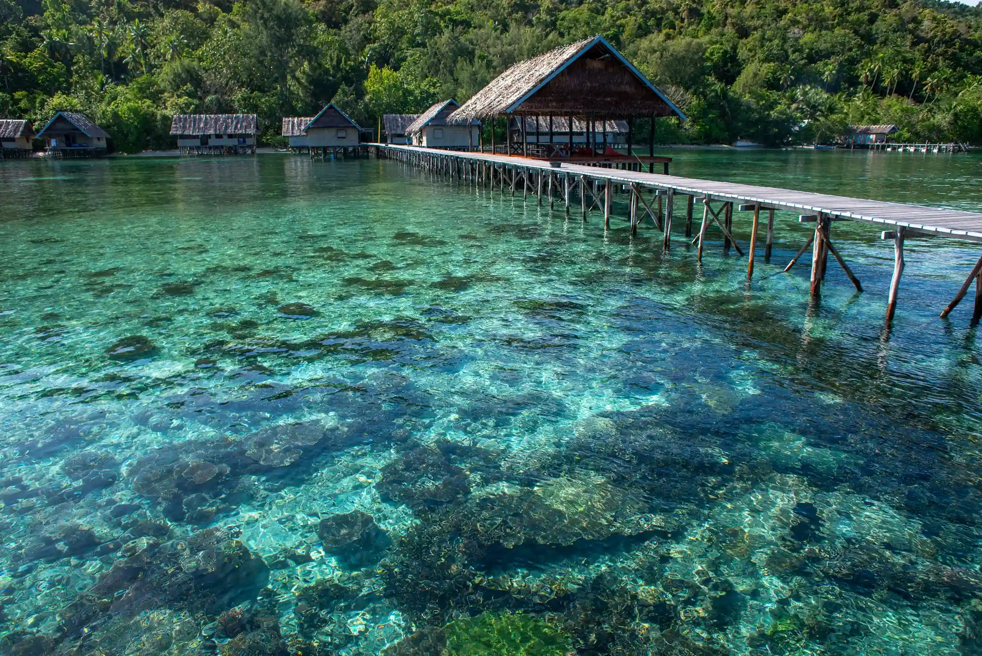 raja ampat reef from above the sea at papua diving resorts