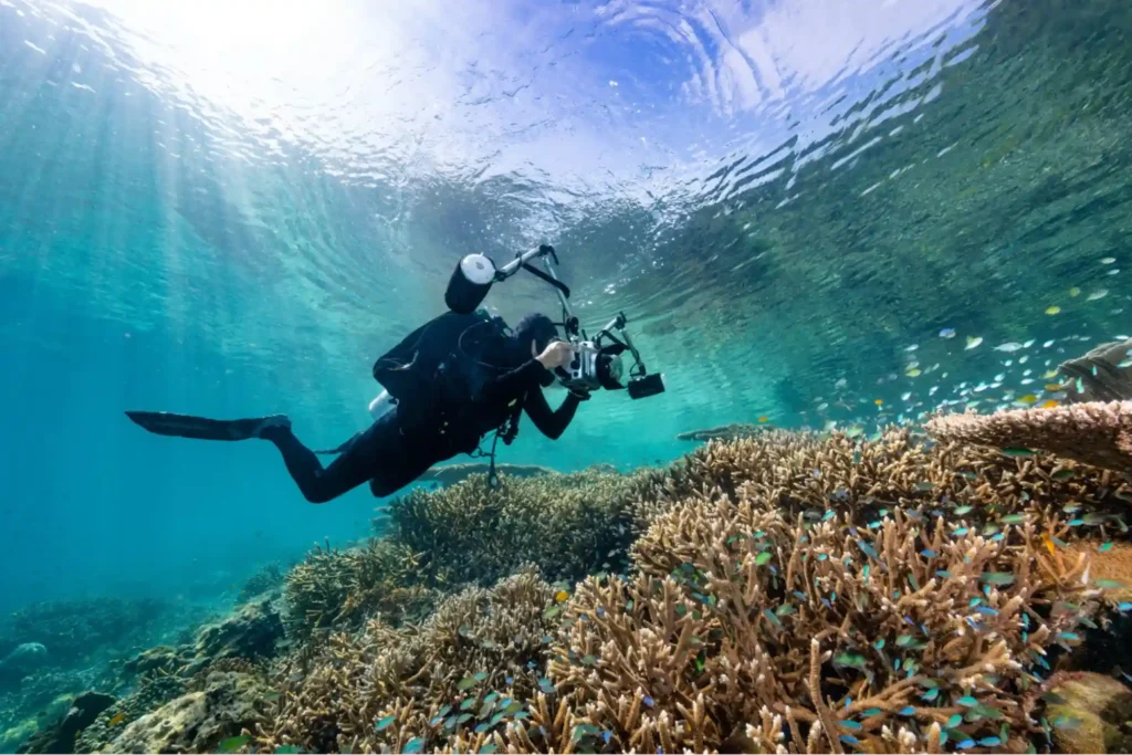 raja ampat seacam workshop at sorido bay resort
