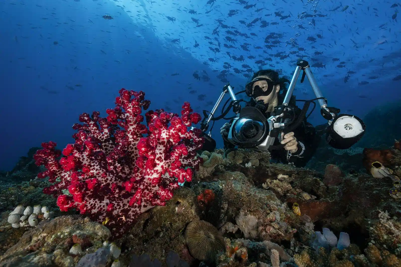 Papua Diving Resorts team using a SEACAM setup to capture vibrant coral reefs in Raja Ampat