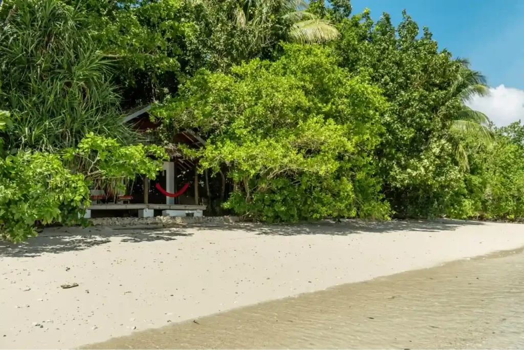 Kri Island, Raja Ampat A Complete Guide for Travelers