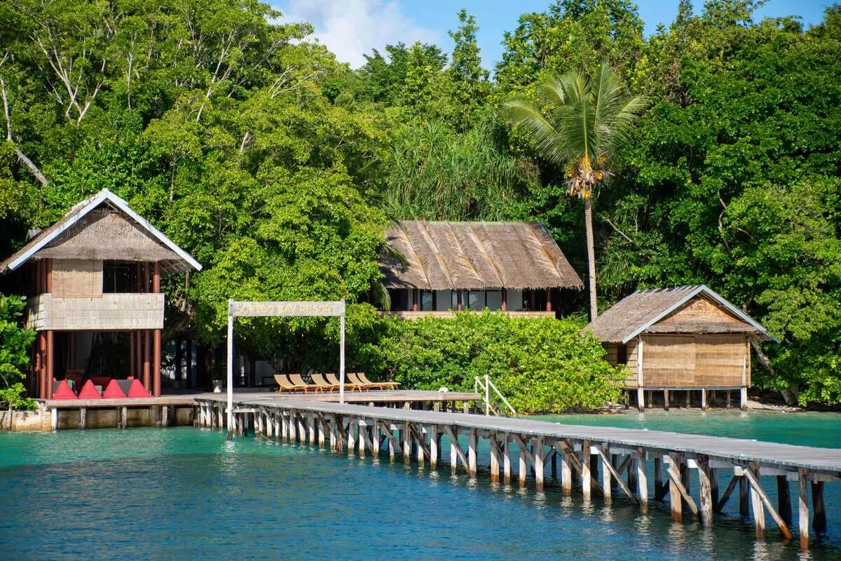 Dive Resort vs Liveaboard in Raja Ampat: Which Is Best?