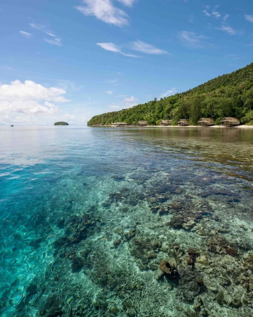 Life Above the Water in Raja Ampat