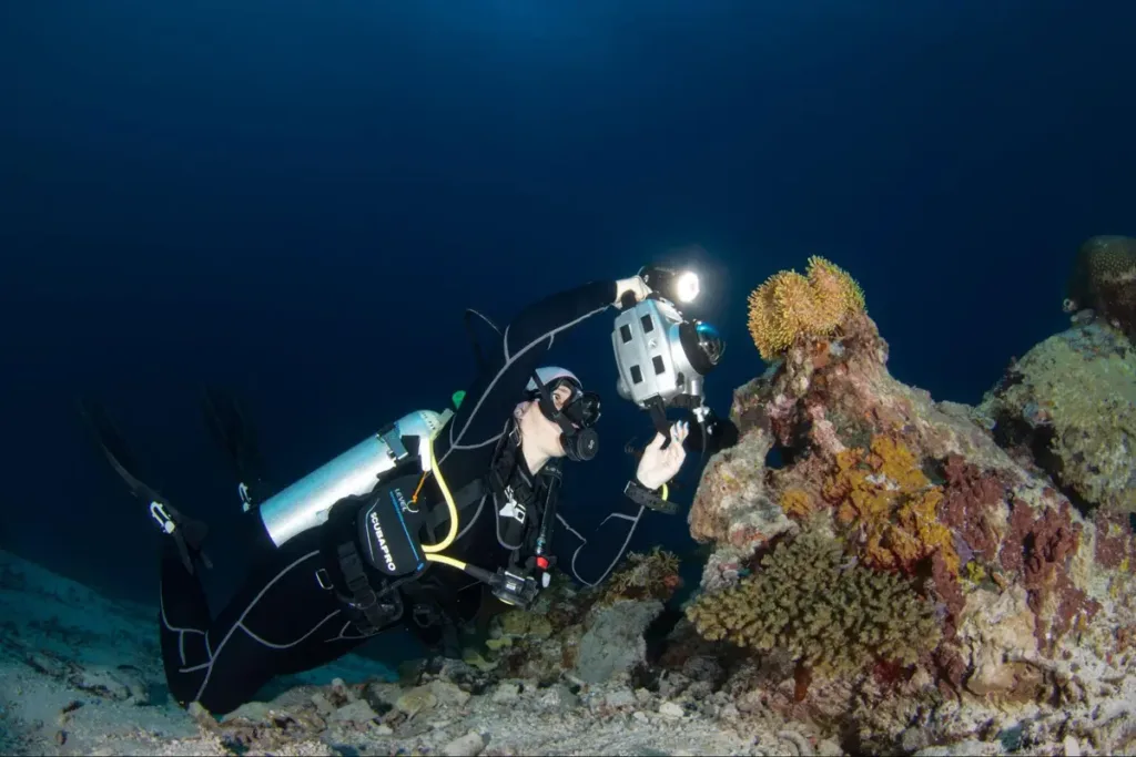 Why Raja Ampat Rewards Underwater Photographers