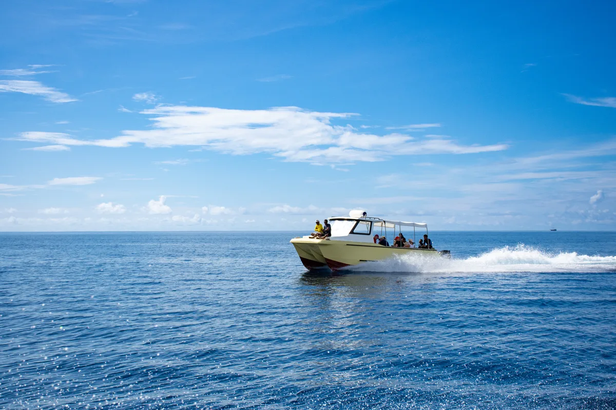New Catamaran Dive Boats in Raja Ampat