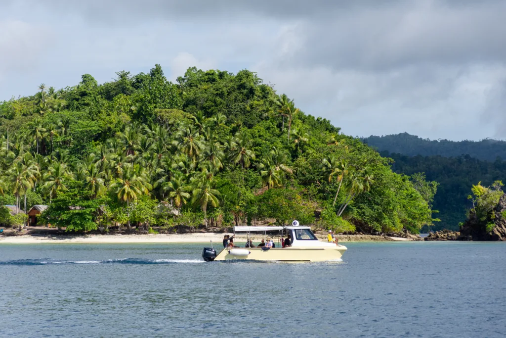 Supporting Diving, Research, and Conservation